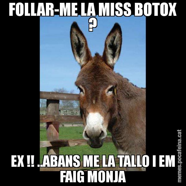 FOLLAR-ME LA MISS BOTOX ? EX !! ..ABANS ME LA TALLO I EM FAIG MONJA - El burro Català