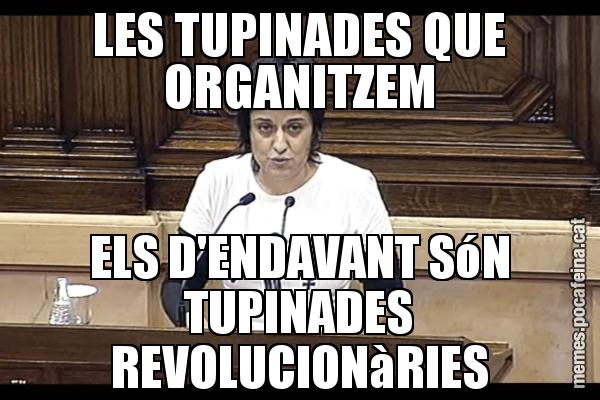 LES TUPINADES QUE ORGANITZEM ELS D'ENDAVANT SóN TUPINADES REVOLUCIONàRIES
