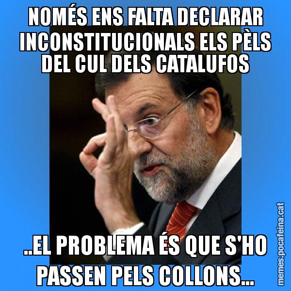 NOMÉS ENS FALTA DECLARAR INCONSTITUCIONALS ELS PÈLS DEL CUL DELS CATALUFOS ..EL PROBLEMA ÉS QUE S'HO PASSEN PELS COLLONS... - Rajoy Zero