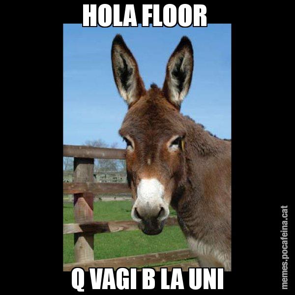 HOLA FLOOR  Q VAGI B LA UNI - El burro Català