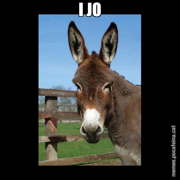 I JO - El burro Català