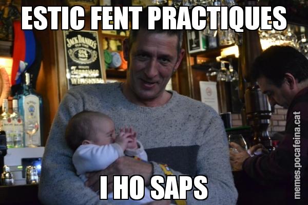 ESTIC FENT PRACTIQUES I HO SAPS