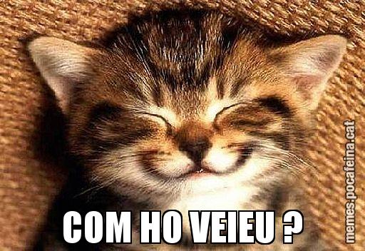 COM HO VEIEU ?