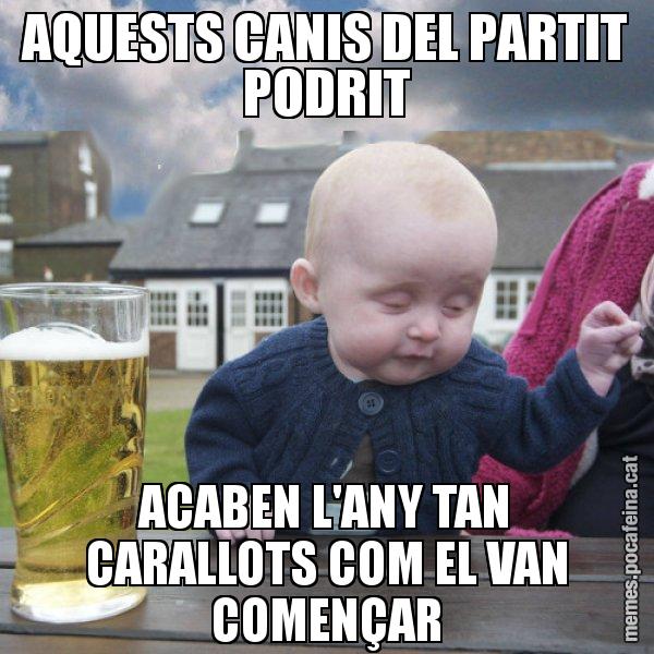 AQUESTS CANIS DEL PARTIT PODRIT ACABEN L'ANY TAN CARALLOTS COM EL VAN COMENÇAR - El nen begut