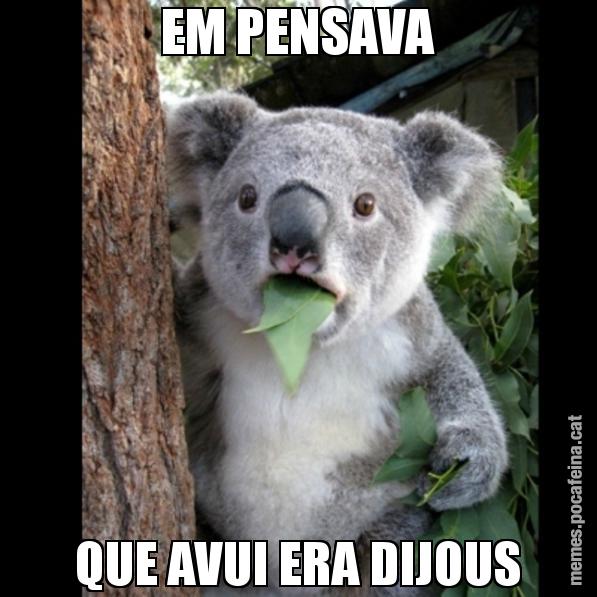 EM PENSAVA QUE AVUI ERA DIJOUS - Koala Cant Believe It