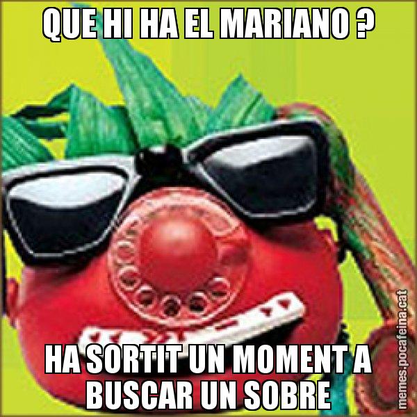 QUE HI HA EL MARIANO ? HA SORTIT UN MOMENT A BUSCAR UN SOBRE - Tomàtic