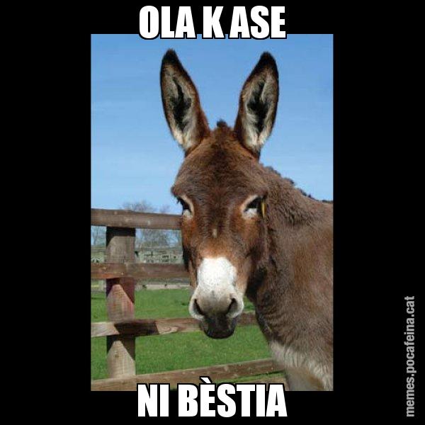 OLA K ASE NI BÈSTIA - El burro Català
