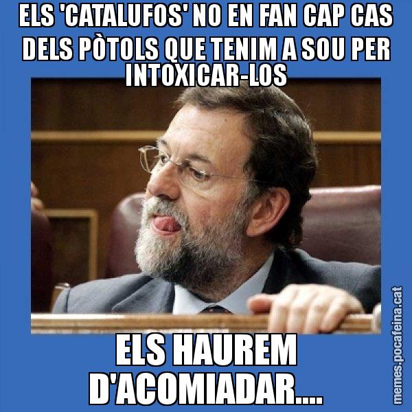 ELS 'CATALUFOS' NO EN FAN CAP CAS DELS PÒTOLS QUE TENIM A SOU PER INTOXICAR-LOS ELS HAUREM D'ACOMIADAR.... - Mmmmmariano Rajoy
