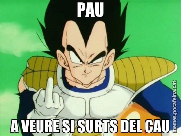 PAU A VEURE SI SURTS DEL CAU - Vegeta