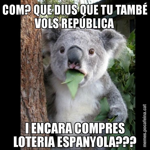 COM? QUE DIUS QUE TU TAMBÉ VOLS REPÚBLICA I ENCARA COMPRES LOTERIA ESPANYOLA??? - Koala Cant Believe It