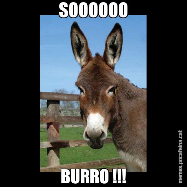 SOOOOOO BURRO !!! - El burro Català