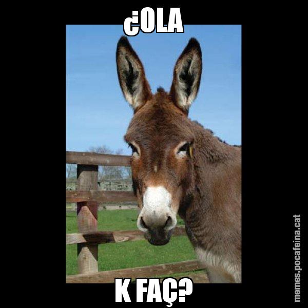 ¿OLA K FAÇ? - El burro Català