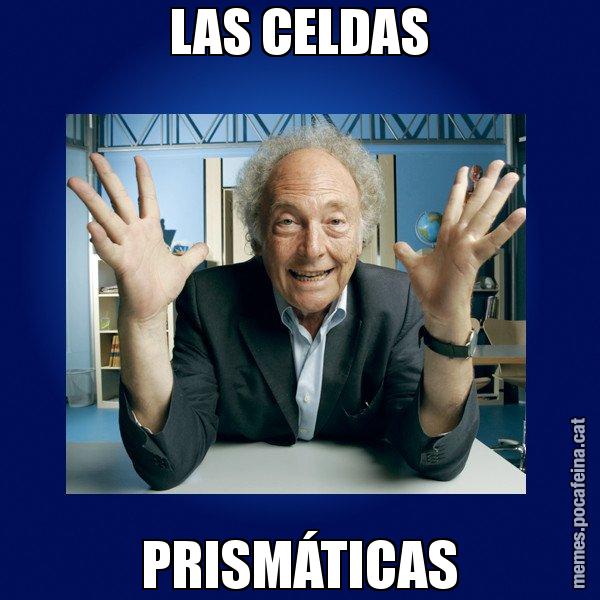 LAS CELDAS PRISMÁTICAS - Eduard Punset