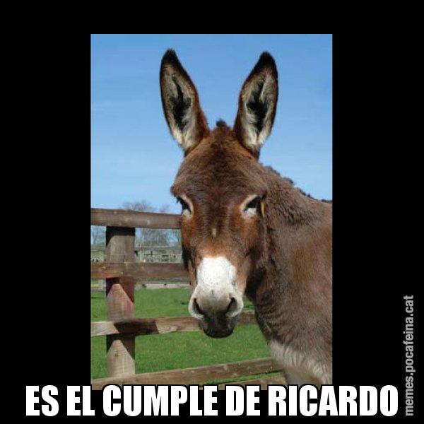 ES EL CUMPLE DE RICARDO - El burro Català