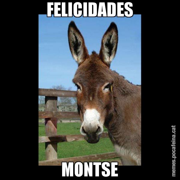 FELICIDADES MONTSE - El burro Català