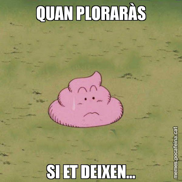 QUAN PLORARÀS SI ET DEIXEN... - Caca