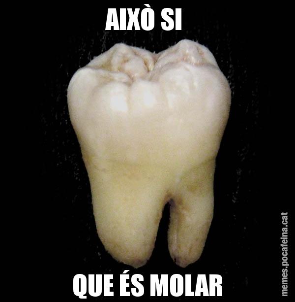 AIXÒ SI  QUE ÉS MOLAR