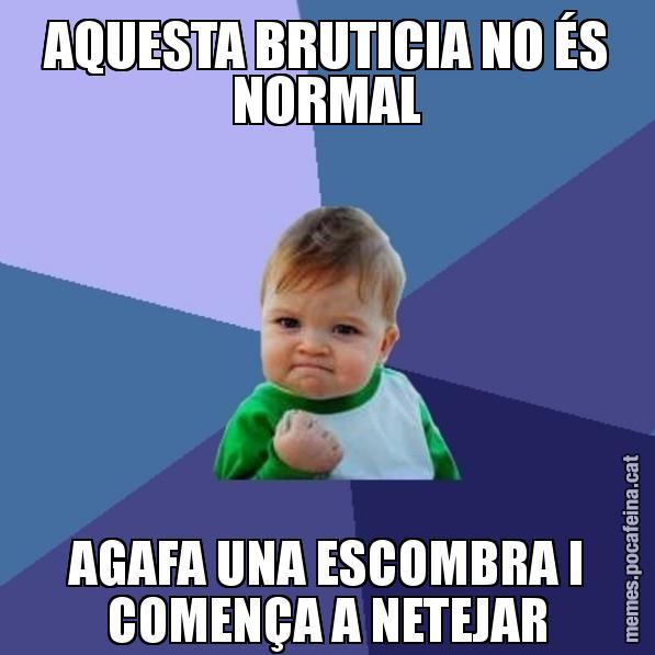 AQUESTA BRUTICIA NO ÉS NORMAL AGAFA UNA ESCOMBRA I COMENÇA A NETEJAR - Success Kid