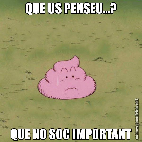 QUE US PENSEU...? QUE NO SOC IMPORTANT - Caca