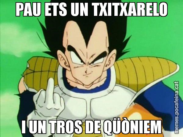 PAU ETS UN TXITXARELO I UN TROS DE QÜÒNIEM - Vegeta