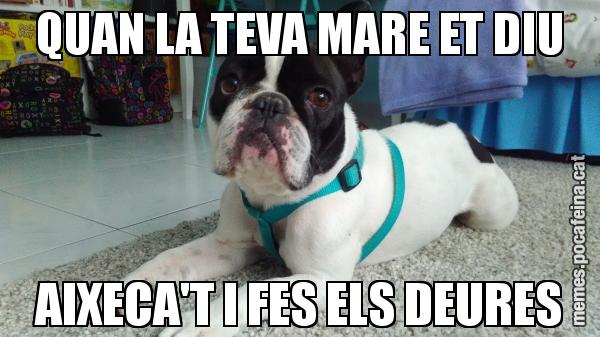 QUAN LA TEVA MARE ET DIU AIXECA'T I FES ELS DEURES