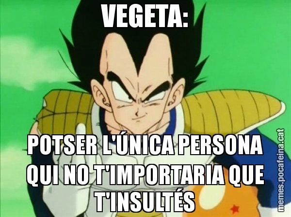 VEGETA: POTSER L'ÚNICA PERSONA QUI NO T'IMPORTARIA QUE T'INSULTÉS - Vegeta