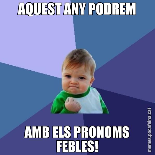 AQUEST ANY PODREM AMB ELS PRONOMS FEBLES! - Success Kid