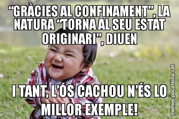 “GRÀCIES AL CONFINAMENT”, LA NATURA “TORNA AL SEU ESTAT ORIGINARI”, DIUEN I TANT, L’ÓS CACHOU N’ÉS LO MILLOR EXEMPLE! - El diabòlic nen asiàtic