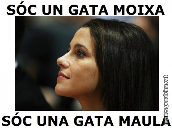 Meme tw5050
