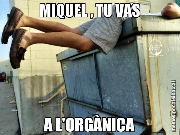 MIQUEL , TU VAS A L'ORGÀNICA