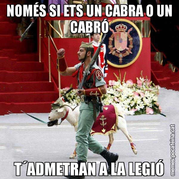 NOMÉS SI ETS UN CABRA O UN CABRÓ T´ADMETRAN A LA LEGIÓ - La cabra de la legió