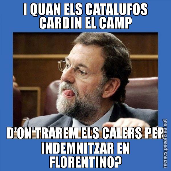 I QUAN ELS CATALUFOS CARDIN EL CAMP D'ON TRAREM ELS CALERS PER INDEMNITZAR EN FLORENTINO? - Mmmmmariano Rajoy
