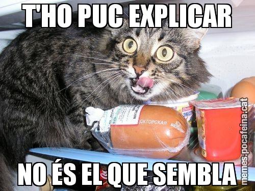 T'HO PUC EXPLICAR NO ÉS EL QUE SEMBLA