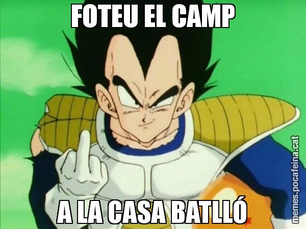 FOTEU EL CAMP A LA CASA BATLLÓ - Vegeta