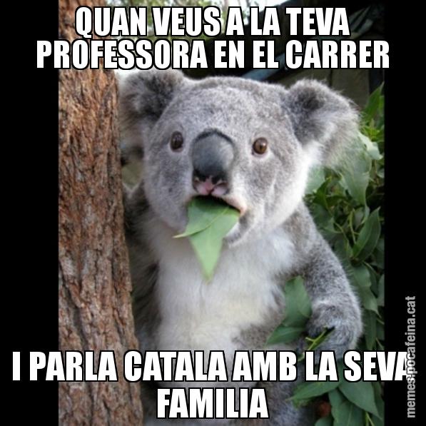 QUAN VEUS A LA TEVA PROFESSORA EN EL CARRER I PARLA CATALA AMB LA SEVA FAMILIA - Koala Cant Believe It