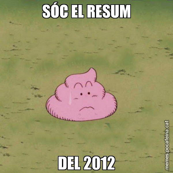 SÓC EL RESUM DEL 2012 - Caca