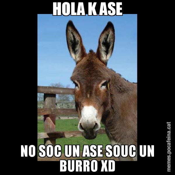 HOLA K ASE NO SOC UN ASE SOUC UN BURRO XD - El burro Català
