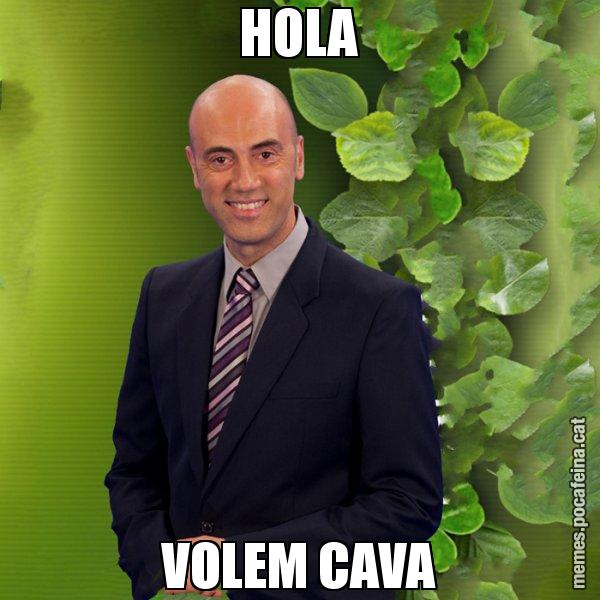HOLA VOLEM CAVA - Tomàs Molina