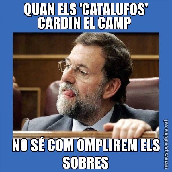 QUAN ELS 'CATALUFOS' CARDIN EL CAMP  NO SÉ COM OMPLIREM ELS SOBRES - Mmmmmariano Rajoy