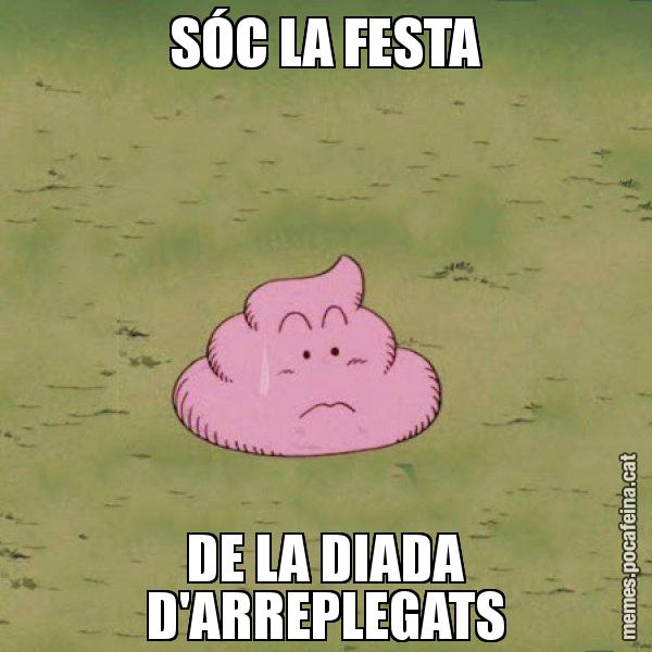 SÓC LA FESTA DE LA DIADA D'ARREPLEGATS - Caca