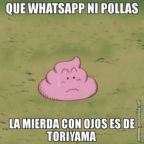 QUE WHATSAPP NI POLLAS LA MIERDA CON OJOS ES DE TORIYAMA - Caca