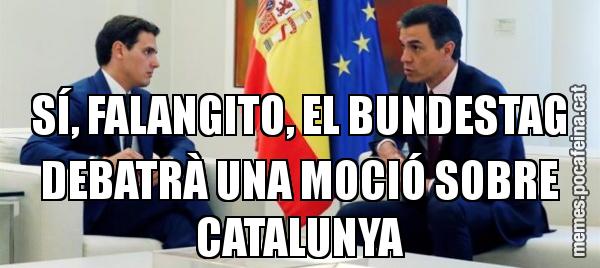 SÍ, FALANGITO, EL BUNDESTAG DEBATRÀ UNA MOCIÓ SOBRE CATALUNYA