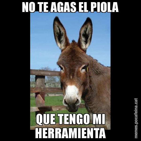 NO TE AGAS EL PIOLA QUE TENGO MI HERRAMIENTA - El burro Català