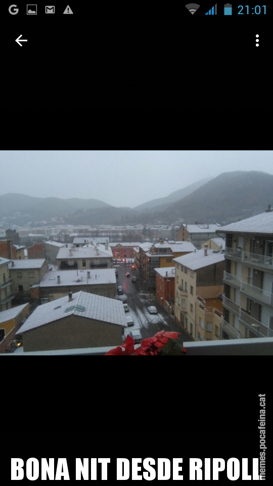 BONA NIT DESDE RIPOLL