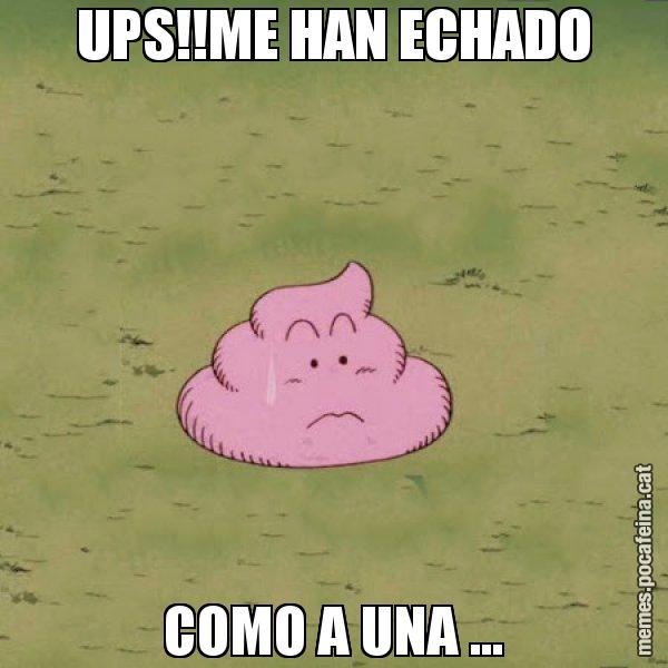 UPS!!ME HAN ECHADO COMO A UNA ... - Caca