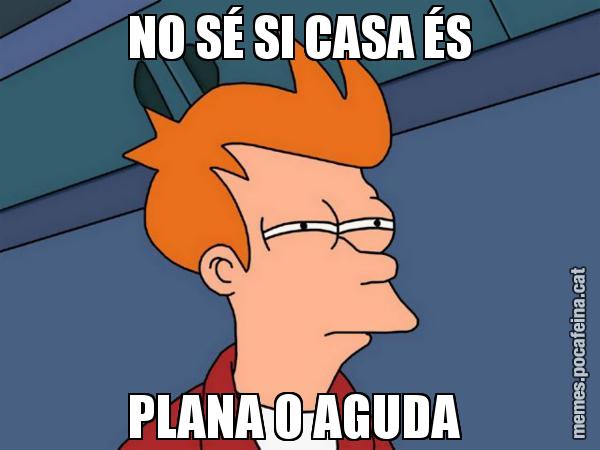NO SÉ SI CASA ÉS PLANA O AGUDA - Futurama Fry