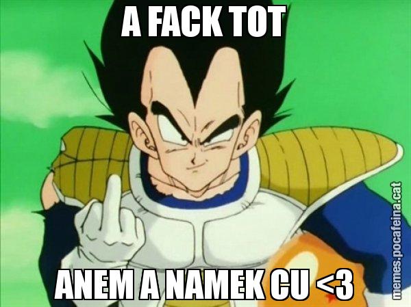 A FACK TOT ANEM A NAMEK CU <3 - Vegeta