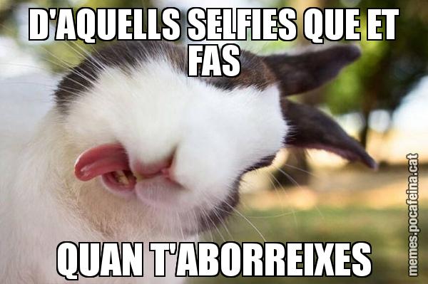D'AQUELLS SELFIES QUE ET FAS QUAN T'ABORREIXES