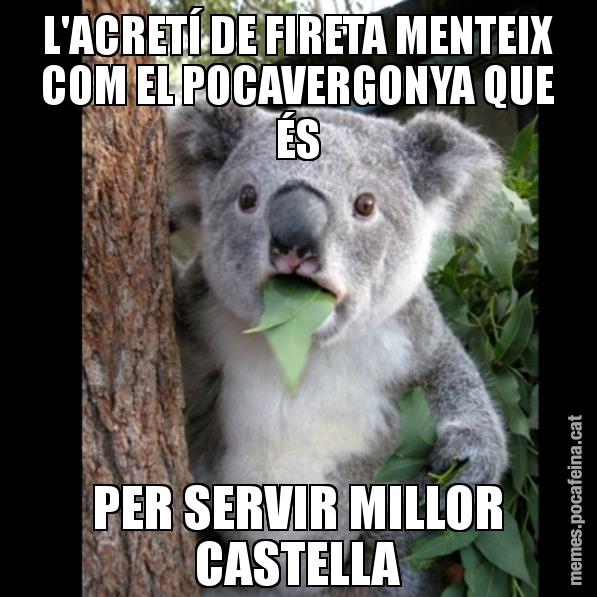 L'ACRETÍ DE FIRETA MENTEIX COM EL POCAVERGONYA QUE ÉS PER SERVIR MILLOR CASTELLA - Koala Cant Believe It