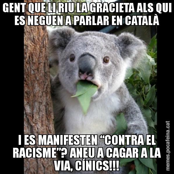 GENT QUE LI RIU LA GRACIETA ALS QUI ES NEGUEN A PARLAR EN CATALÀ I ES MANIFESTEN “CONTRA EL RACISME”? ANEU A CAGAR A LA VIA, CÍNICS!!! - Koala Cant Believe It